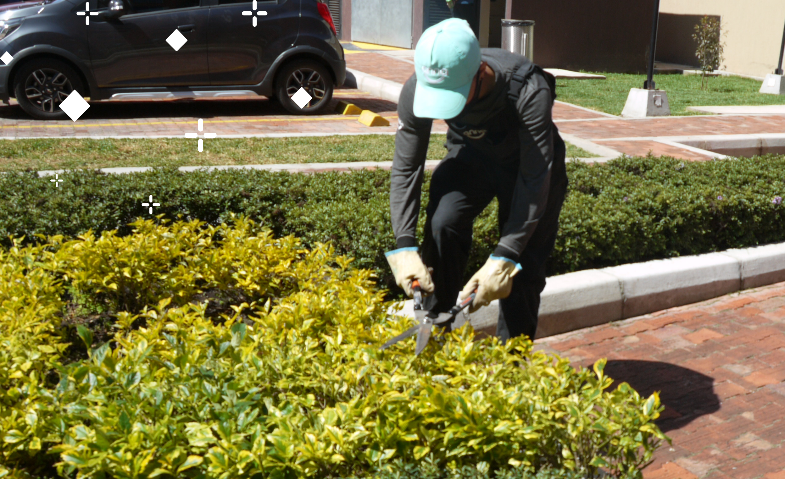jardines jardinero Anna trabajando