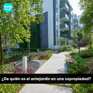 antejardin