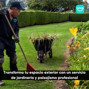 servicio de jardinería y paisajismo