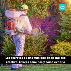 Los secretos de una fumigación de maleza efectiva