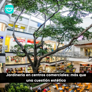 Jardinería en centros comerciales: más que una cuestión estética